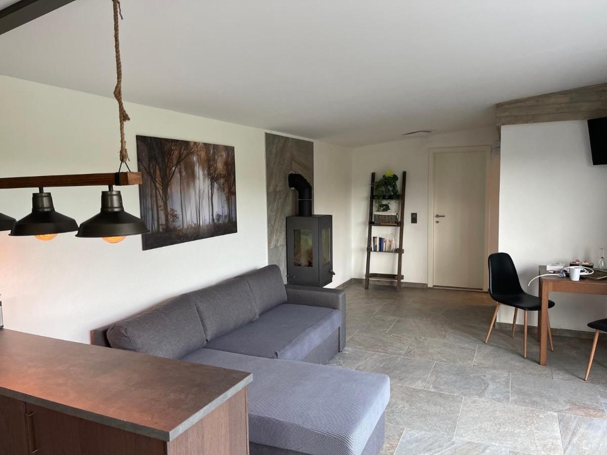 Unterwellenborn Saale-Residenzヴィラ エクステリア 写真