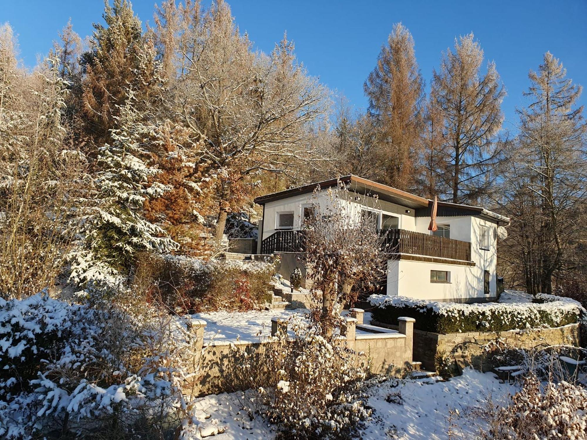 Unterwellenborn Saale-Residenzヴィラ エクステリア 写真